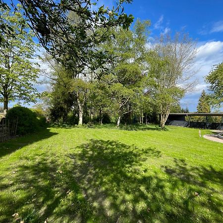 Traumhafte Ferienwohnung Am Park شيسيل المظهر الخارجي الصورة